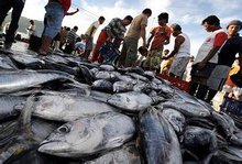 海洋过度开发的污染